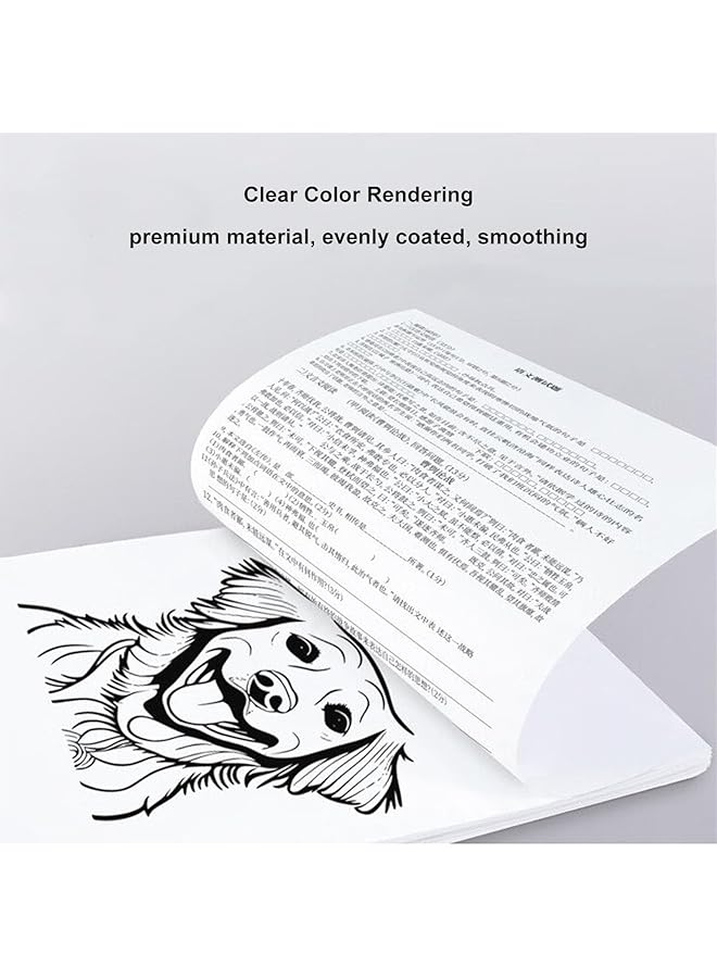 Sorandy A4 Thermal Paper Multipurpose Thermal Printer Paper 210Mm 8.27Width 8M Long Φ1.18 Paper Replacement For Portable A4 Thermal Printer - Image 2