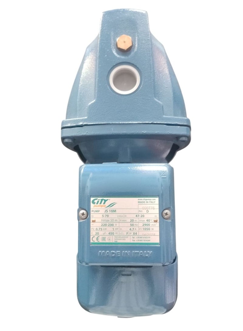 city pumps City water motor 1 hp  - Image 3