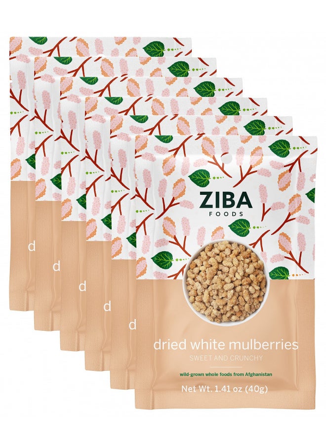 Ziba Ziba Foods Wild Grown Dried Mulberries | Non-GMO, Vegan, Whole 30 Friendly & Paleo, Dried Fruit | Wild Grown Superfood Naturally High In Immune Boosting Antioxidants, Pack of 6  - Image 1