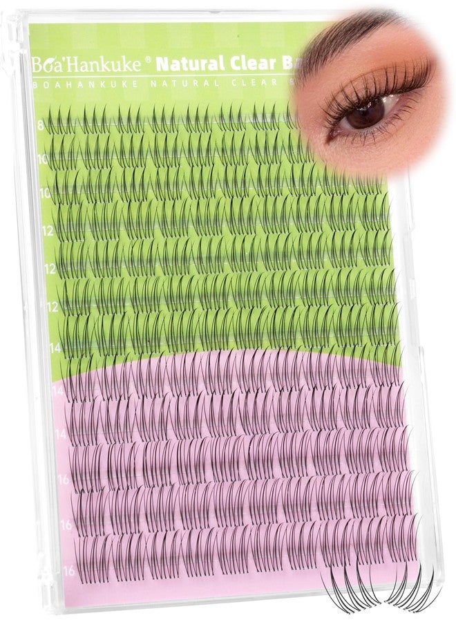 Boahankuke Aurora Natural Lash Clusters Wispy Cluster Eyelash Extensions C Curl Eyelash Clusters Invisible Band Individual Lashes 8-16MM Soft BASF Lash Extensions 120PCS Wet Pestañas Postizas Naturales at Home - Image 1