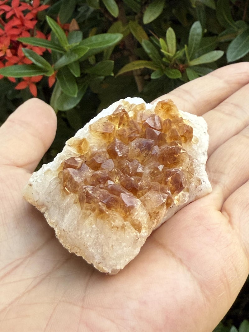 GAF TREASURES Large Raw Citrine Cluster, Citrine Cluster, Citrine Rock (Citrine Cluster, 1 Piece) - Image 2
