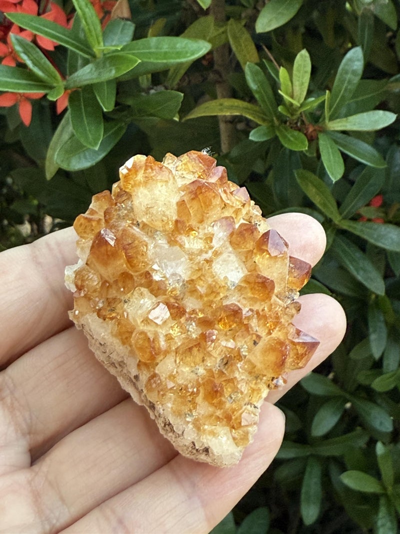 GAF TREASURES Large Raw Citrine Cluster, Citrine Cluster, Citrine Rock (Citrine Cluster, 1 Piece) - Image 3