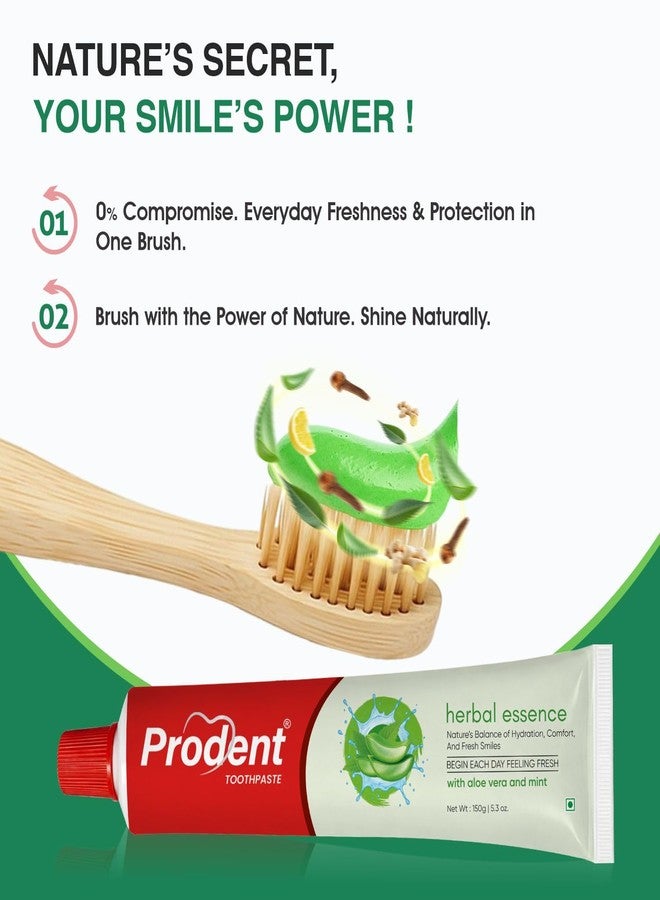 Prodent Aloe Vera & Mint Herbal Toothpaste 150g | For Gum Care, Long-Lasting Fresh Breath & Clean Teeth | Safe & Effective Oral Care - Image 3