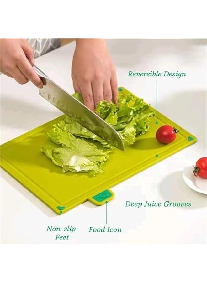 11.8” x 8.7” Cutting Board Set of 4, Non Slip Chopping Board with Juice Groove & Food Icon, Plastic Cutting Board with Storage Stand - Reversible Cutting Boards for Kitchen - pzsku/ZBDBCF26E43680A5456BAZ/45/_/1728846848/e69ad915-5492-4d18-a7de-474651ad255a