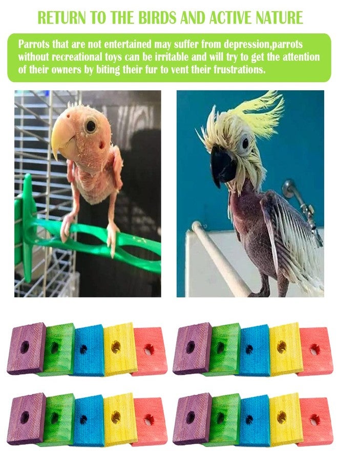 YOLUFER 100 Pieces Parrot Wooden Chewing Toy Parrot Bite Toy Parrot Chewing Blocks for Small, Medium, Large Parrot Budgies Parakeet Cockatiel(Mixed Color) - Image 4