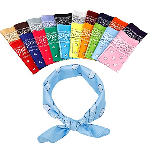 Jeatonge 20 Pcs Assorted Bandanas Paisley Cowboy Polyester Headbands 22x22 inch - Image 4