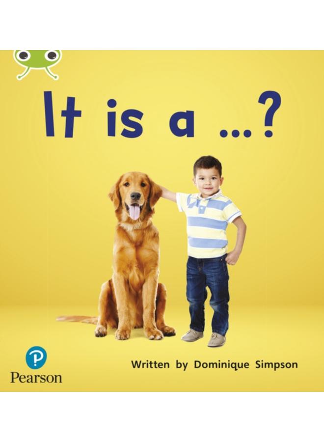 Bug Club Phonics - Phase 2 Unit 3: It is a ...? 