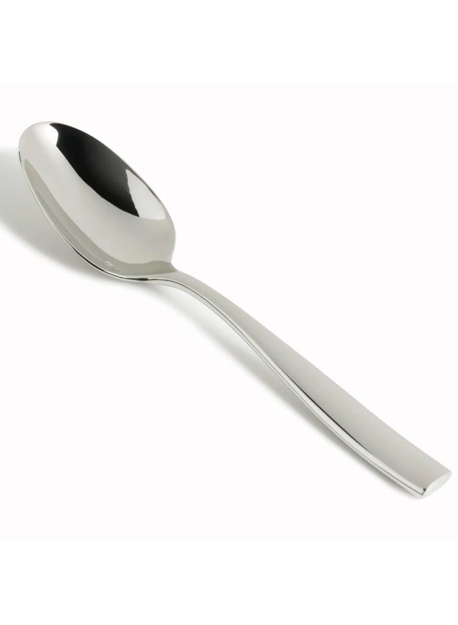 Fortessa ملعقة تقديم لوكا من الفولاذ المقاوم للصدأ 24.5 سم