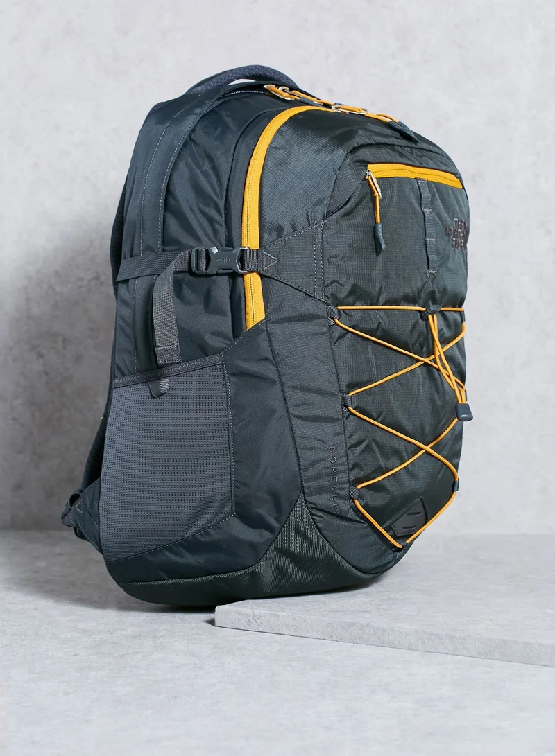 northface Borealis Backpack