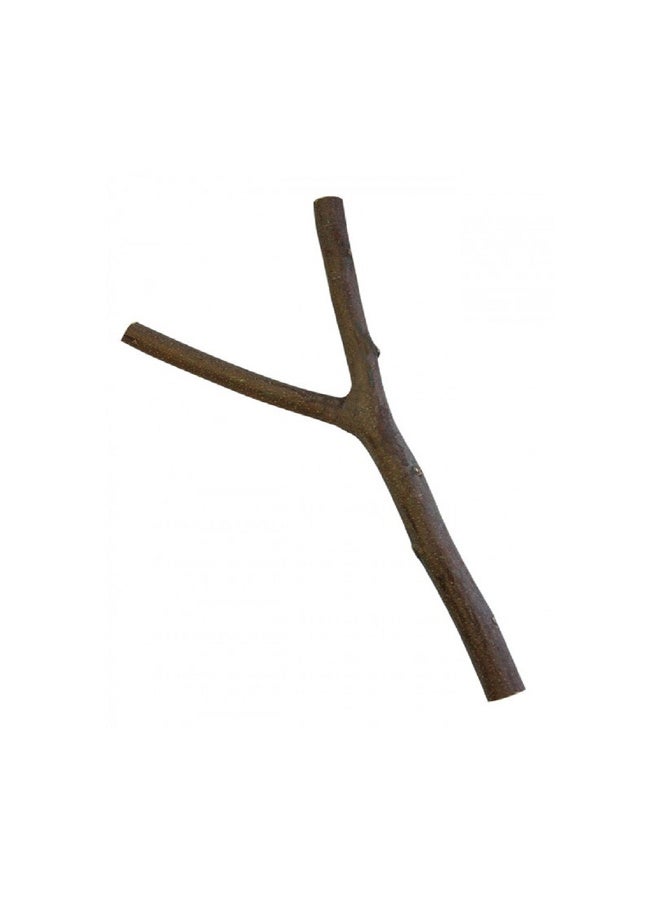 Pado Natural and Clean Bird Perch - 30 x 2.5-3 cm