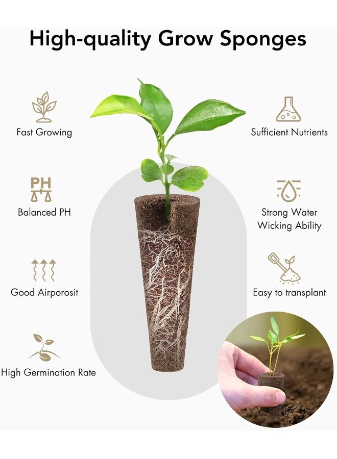 iDOO Seed Pods Kit For Hydroponics Growing System With 60Psc Pod Labels, 24 Pieces Growth Sponges, 12 Pieces Basket Kit, 12 Pieces Cover, 12 Domes, 12 Pieces Tags, 400Ml AAndB Solid Nutrient  - Image 3