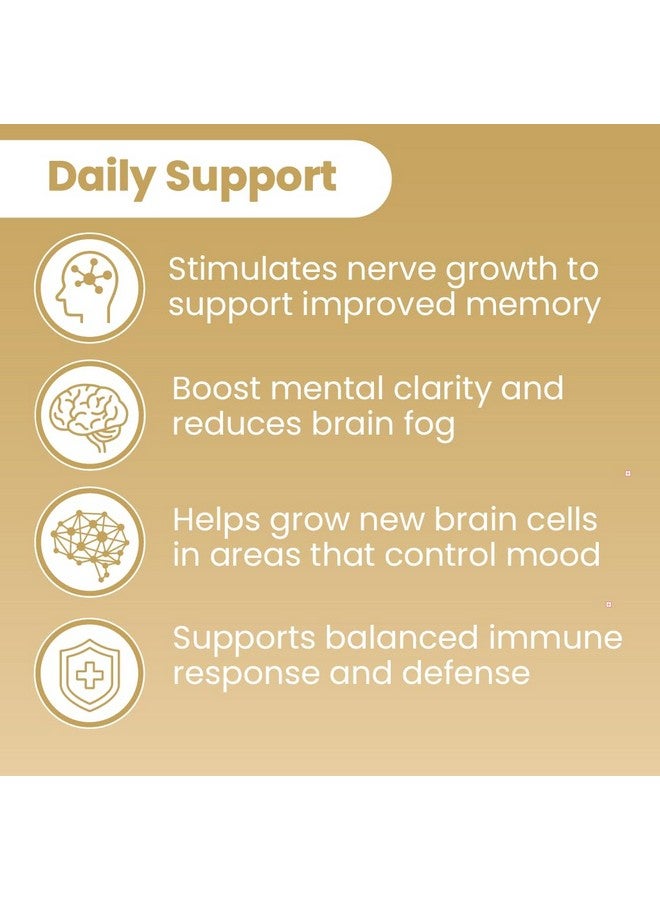 Sanar Naturals Sanar Naturals Lions Mane Supplement Capsules - Focus, Memory and Brain Function Support - Mushroom Lions Mane Powder Supplement Nootropic - Non-GMO, Gluten-Free, 120 Pills - Image 4