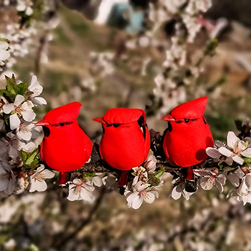 Berfutall مقطع Berfutall -Cardinal على زخرفة زخرفة شجرة عيد الميلاد - ريش أحمر من 12 قطعة لكل منها 2.8 "" LON (A) - Image 5
