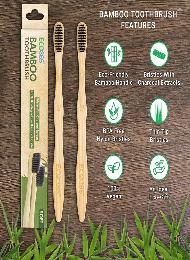ECO365 Bamboo Toothbrush (Pack of 2 & Steel Straws (2 Straight Straw + 2 Bent Straw - Image 2