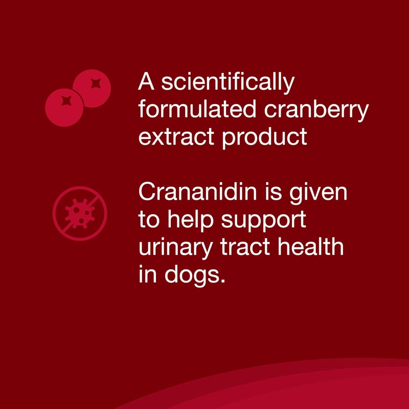 Nutramax Laboratories Crananidin Cranberry Extract Urinary Tract Health Supplement for Dogs, 75 Chewable Tablets - Image 3