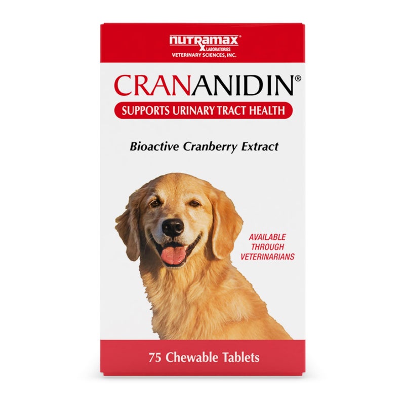 Nutramax Laboratories Crananidin Cranberry Extract Urinary Tract Health Supplement for Dogs, 75 Chewable Tablets - Image 1