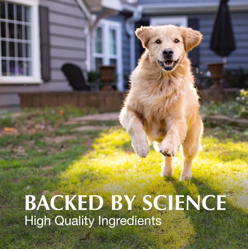 Nutramax Laboratories Crananidin Cranberry Extract Urinary Tract Health Supplement for Dogs, 75 Chewable Tablets - Image 4