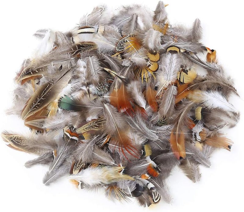 Ballinger 180pcs 9 Styled Natural Feathers Assorted Mixed Feathers for Jewelry and Dream Catcher Crafts - Image 3
