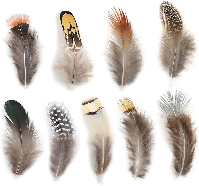 Ballinger 180pcs 9 Styled Natural Feathers Assorted Mixed Feathers for Jewelry and Dream Catcher Crafts - Image 1