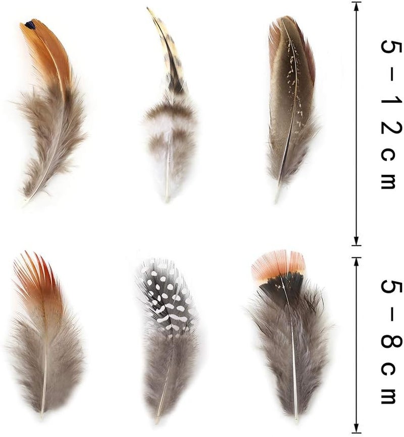 Ballinger 180pcs 9 Styled Natural Feathers Assorted Mixed Feathers for Jewelry and Dream Catcher Crafts - Image 5