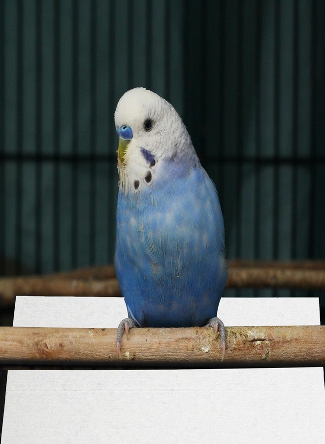 BESPORTBLE 100Pcs Non-Woven Bird Cage Liners Absorbent Disposable Urine Pads with Bottom for Parakeet Cage Accessories and Cushion Replacement - Image 5