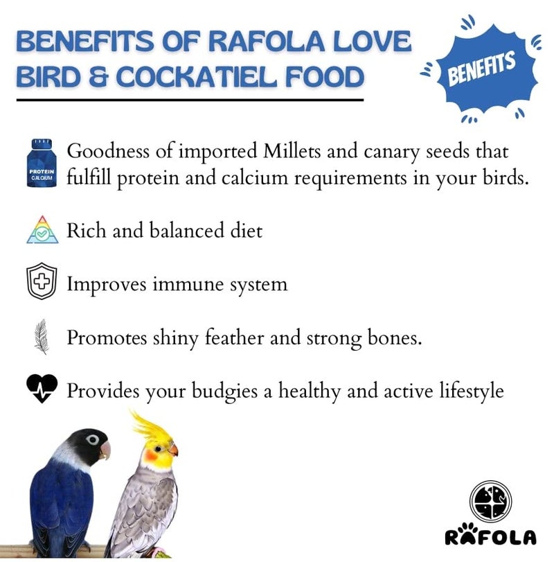 RAFOLA طعام الطيور من RAFOLA لطيور الكوكاتيل وطيور الحب - مزيج من البذور، بذور الكناري، بذور دوار الشمس - نظام غذائي متكامل طبيعي وطازج 1 كجم لجميع مراحل الحياة - Image 2