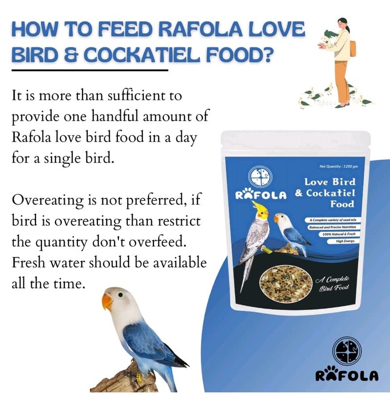 RAFOLA طعام الطيور من RAFOLA لطيور الكوكاتيل وطيور الحب - مزيج من البذور، بذور الكناري، بذور دوار الشمس - نظام غذائي متكامل طبيعي وطازج 1 كجم لجميع مراحل الحياة - Image 5