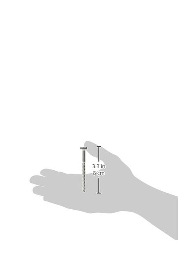 Hillman 832012 1/4 x 3-Inch Stainless Steel Hex Lag Screws, 25-Pack - Image 2