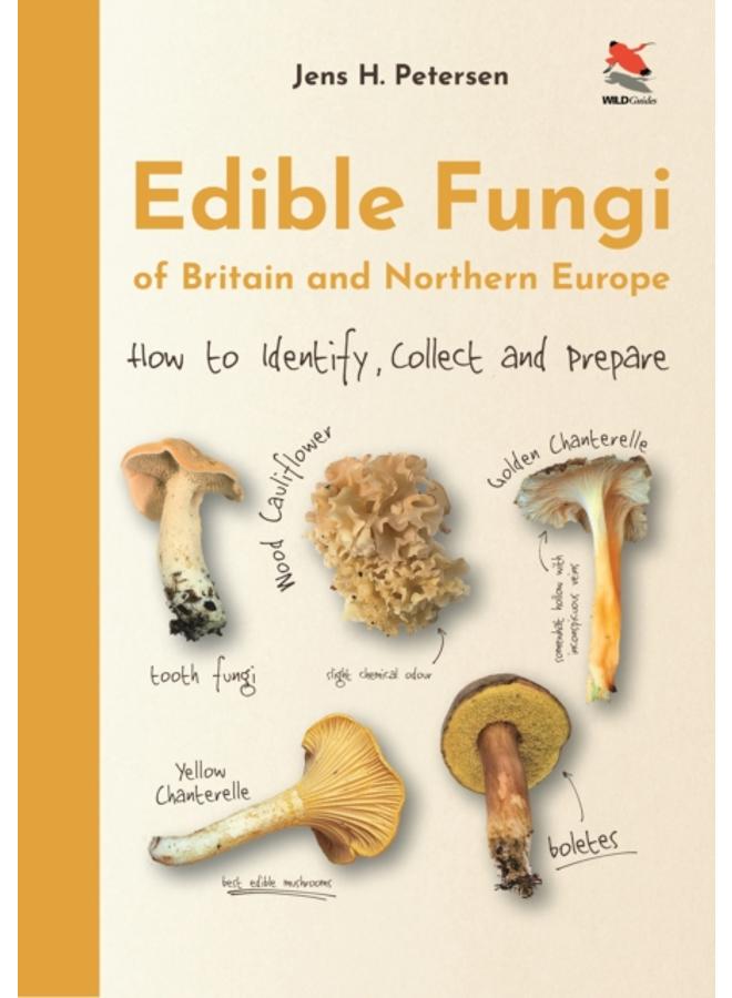 الفطريات الصالحة للأكل في بريطانيا وشمال أوروبا: كيفية التعرف عليها وجمعها وتحضيرها