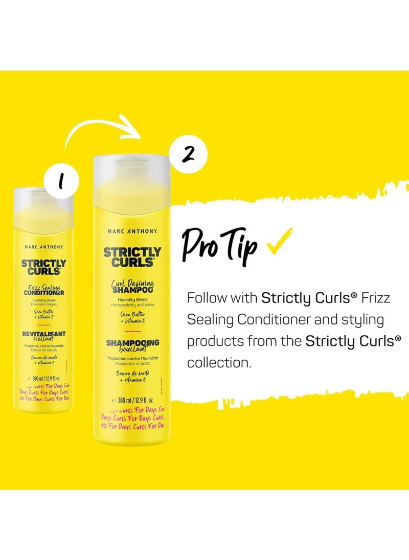 Strictly Curls Defining Shampoo For Manageability And Shine 380ml