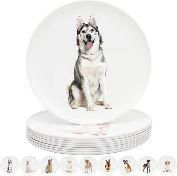 10 INCH PLASTIC PLATES LARGE PLATES DINNER PLATES SET OF 9 DOG THEME