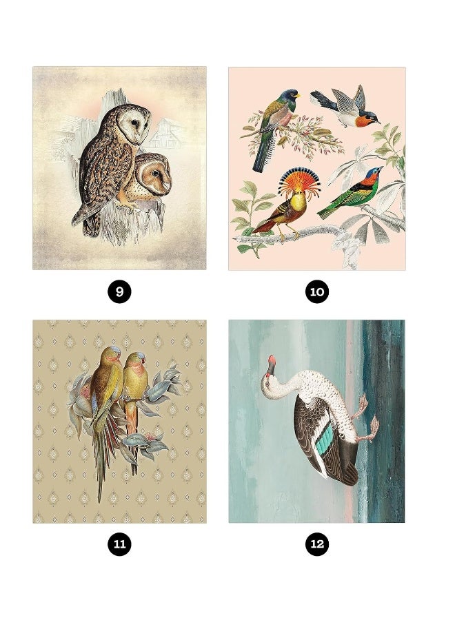 Brain Games - Sticker by Number - Vintage: Birds  - Image 5