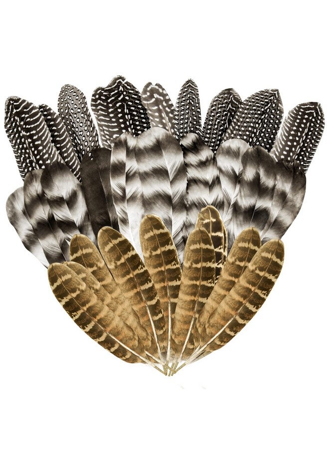CANIPHA 30Pcs Natural Turkey Feathers, 5.3-7 Inch Craft Feathers Pheasant For Hats, 3 Style Mixed Natural Feathers For Carnival Costume Feather Mask Wedding Party Decoration Flower Arrangement - Image 1