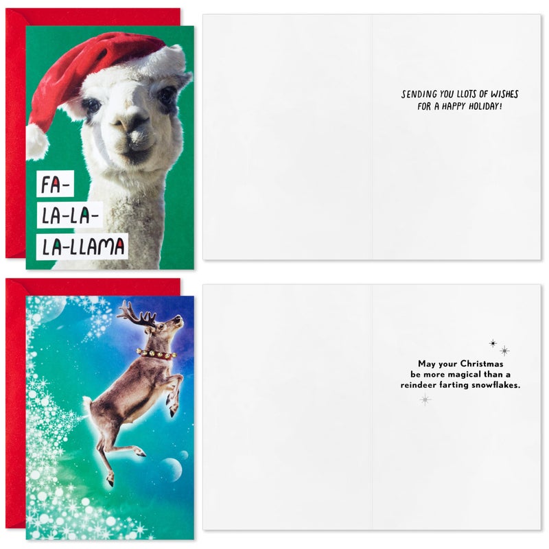 Hallmark Shoebox Funny Boxed Christmas Cards (24 Cards and 24 Envelopes) Dog  Cat  Llama  Reindeer - Image 5