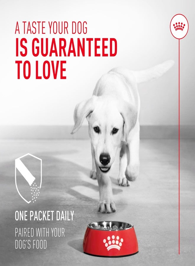 رويال كانين بروبيوتيك للكلاب، مكمل غذائي بودرة لصحة الجهاز الهضمي والمناعة للكلاب من جميع الأعمار، 7 أقراص - Image 4