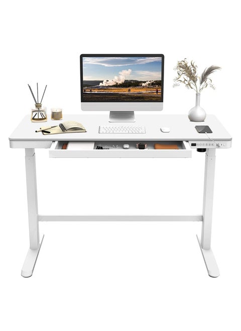 Mahmayi Flexispot All In One Height Adjustable Standing Desk With USB Charging, Wooden Top White, ET-118W