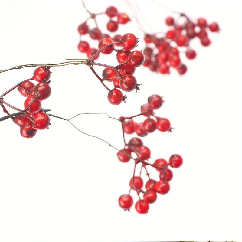 Realistic Craft Berry Arrangement With 13 Large Clusters Blue Color For Home Living Room Flower Decor And Outdoor Garden - Image 2
