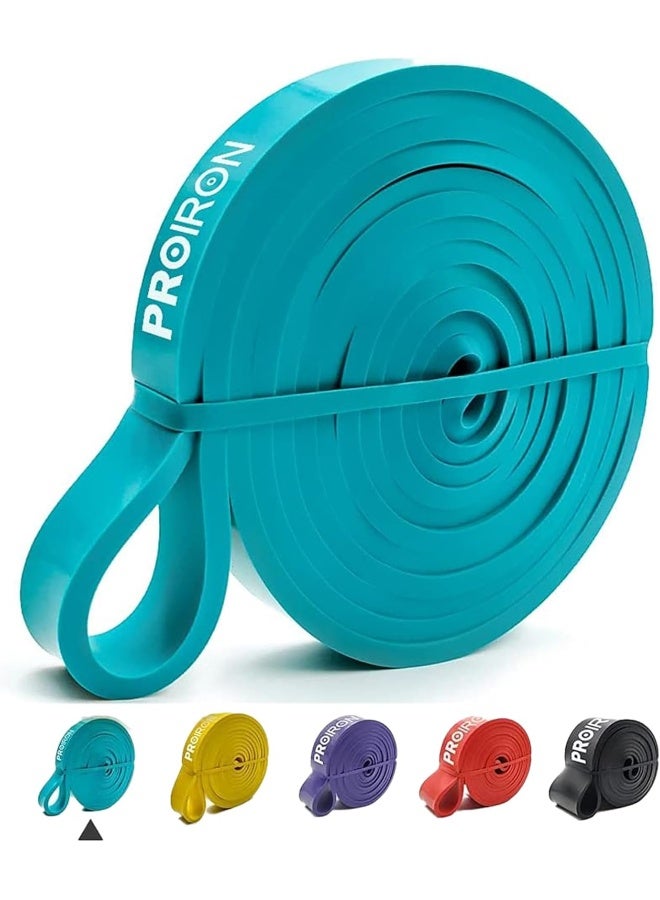 PROIRON PROIRON Pull Up Bands Heavy Duty Resistance Band Assisted Training Bands Ideal for Men and Women Crossfit, Assisted Pull-ups, Body Stretching, Powerlifting, Physical Therapy - Image 1