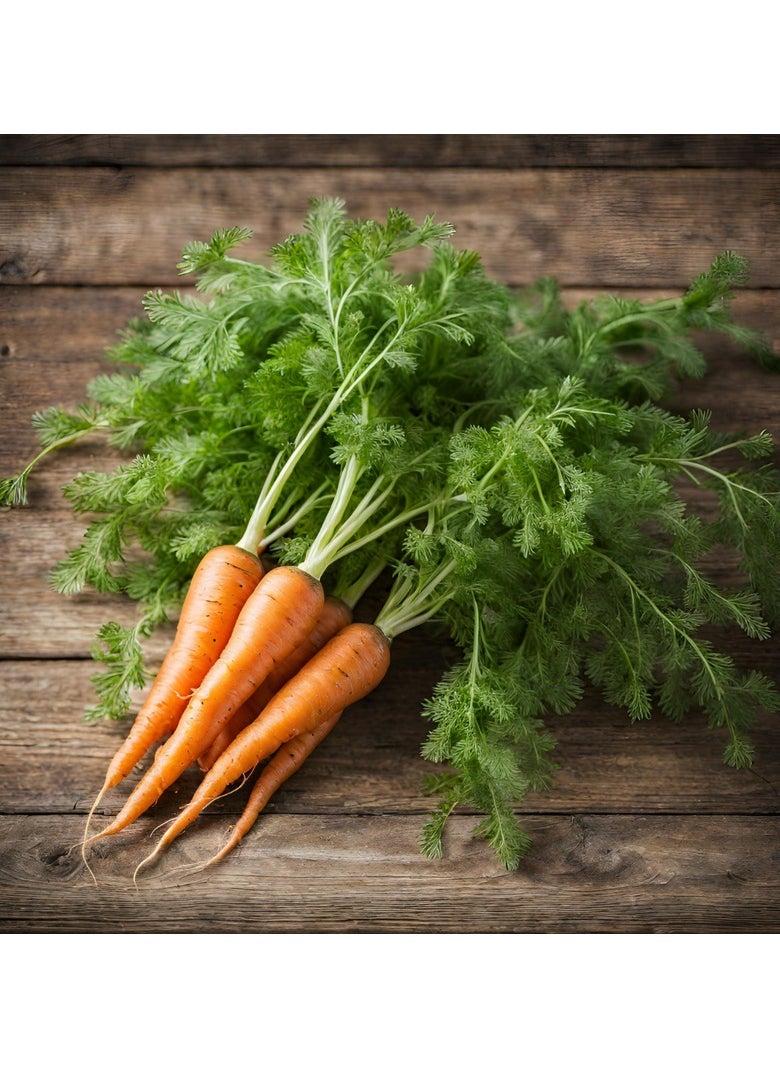 GROW Carrot seeds al-fajr  - Image 2