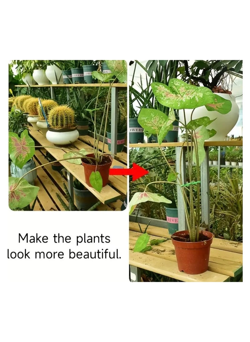 CleanWave - The Pure Effect 4 PCS Reusable Plant Stem Support – Indoor Plant Support Stakes to Keep Plants Upright, Prevent Stem Damage, and Promote Healthy Growth  - Image 4