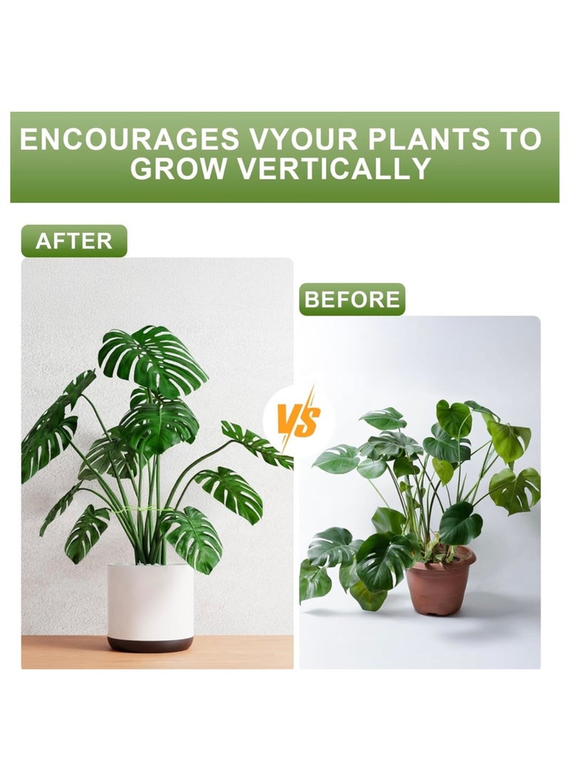 CleanWave - The Pure Effect 4 PCS Reusable Plant Stem Support – Indoor Plant Support Stakes to Keep Plants Upright, Prevent Stem Damage, and Promote Healthy Growth  - Image 5