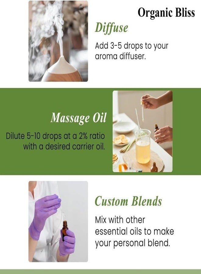 Organic Bliss Bitter Almond Essential Oil 100% Pure and Natural Therapeutic Grade Essential Oil for Hair Skin Care, Relief from Stress,Anxiety and Aromatherapy (50 ML) - Image 3