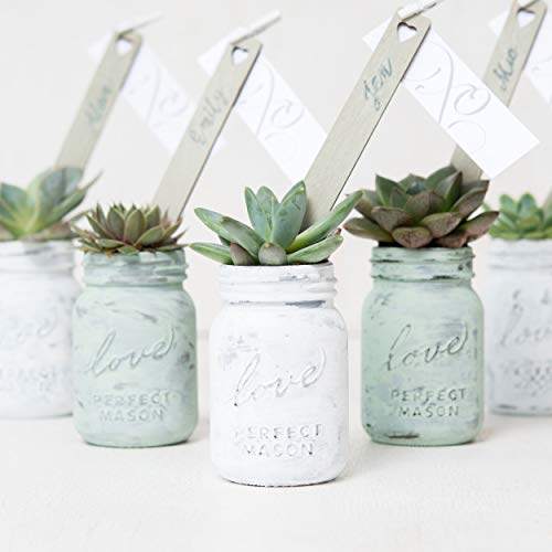 WEDDINGSTAR Mini Love Mason Jar with Lid - 6 Pack - Image 5