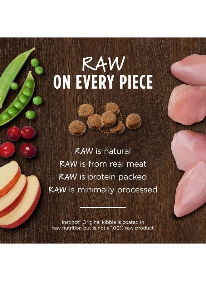 غريزة طعام القطط الجاف الأصلي من إنستينكت، حبيبات نيئة مغلفة، غني بالبروتين، وصفة خالية من الحبوب - أرنب حقيقي، كيس 4.5 رطل - Image 3