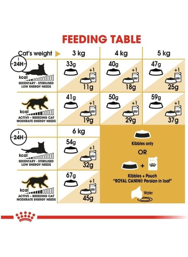 ROYAL CANIN Persian Adult Cat Dry Food 4kg – Breed Nutrition for Skin, Coat & Hairball Control - Image 2