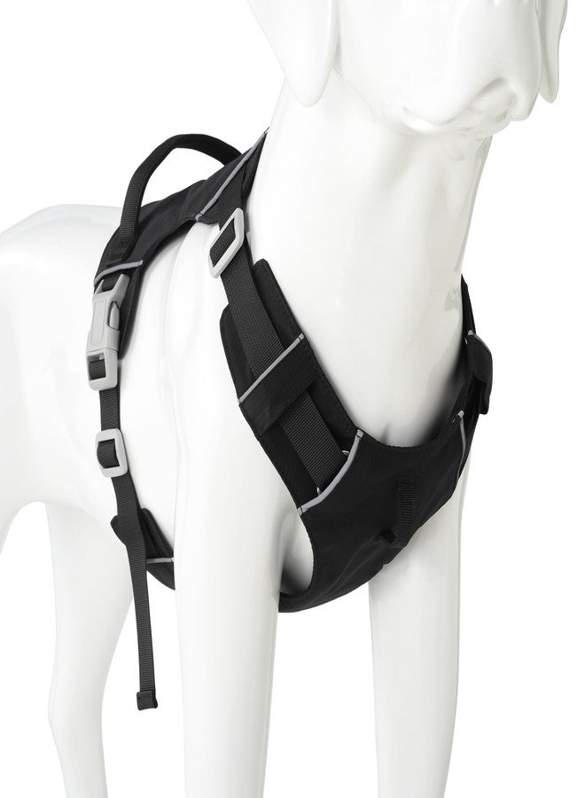 Mile High Life No Pull Dog Harness with Reflective Stripe, Adjustable Easy Get on Lightweight Harness for Small Medium Large Dogs Walking Running Training (Black, S Chest 14"-20")