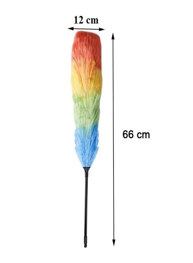 ENHAM Combo of Plastic Fibre Bed & Sofa Cleaner Brush with Soft Bristles & Multicolour Neon - Image 4