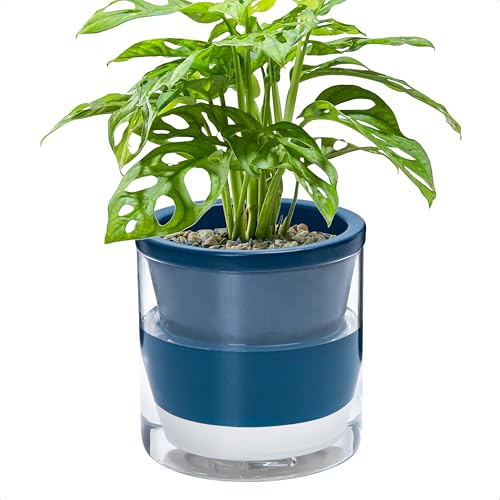 Dvine Dev 6 Inch Design Self Watering Planter for Indoor Plants Blue Terracotta Pot with Cylinder Glass Cup 37XB4