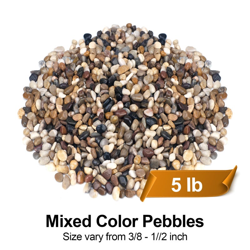 Pulovin 5 lbs Pebbles for Indoor Plants, Succulent, Bamboo, Vase, 3/8" Plant Rocks for Pots Indoor, Small River Rocks Decorative Pea Gravel, Highly Polished - Image 2