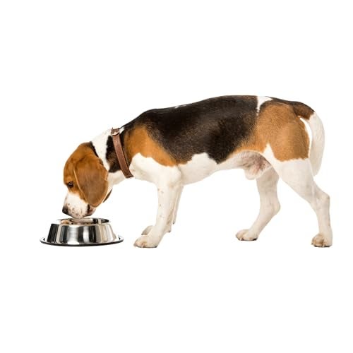 SPOT No-Tip Pet Bowl for Cats Small Dogs Large Dogs Classic Durable Non Slip Cat Dish Dog Bowls for Food and Water - 24oz - 3cup - Image 1